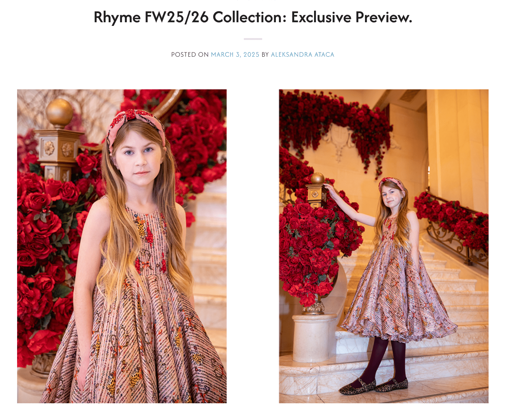 26 Collection