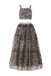 Bianca dove grey velvet girls crop top and organza skirt with star, moon and dragonfly embroidery — Château Mystique by Rhyme Kids
